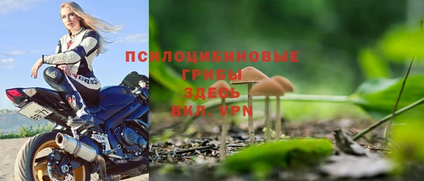 МДПВ Абдулино