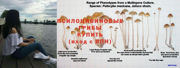 МДПВ Абдулино