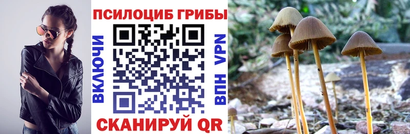 где купить   Тбилисская  Псилоцибиновые грибы ЛСД 